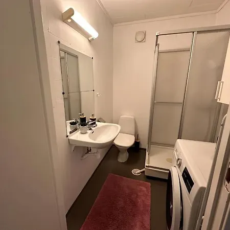Appartement Studioleilighet Sentralt I Med Eget Soverom