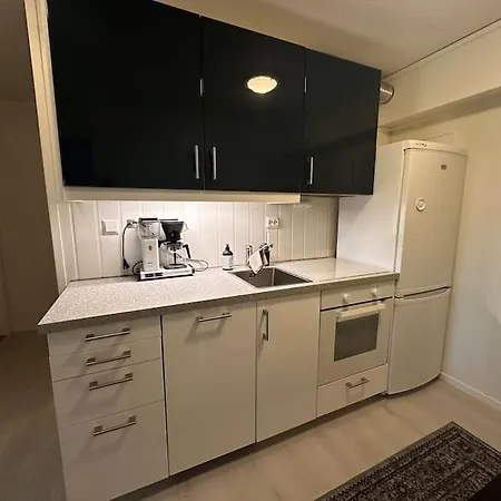 Studioleilighet Sentralt I Med Eget Soverom