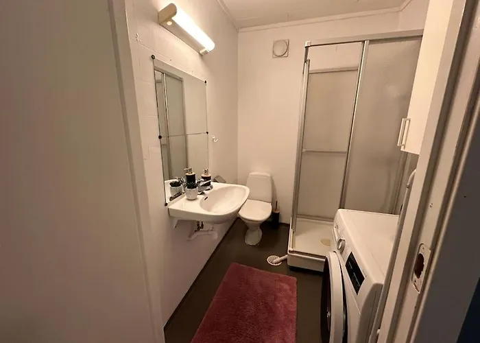 Appartement Studioleilighet Sentralt I Med Eget Soverom