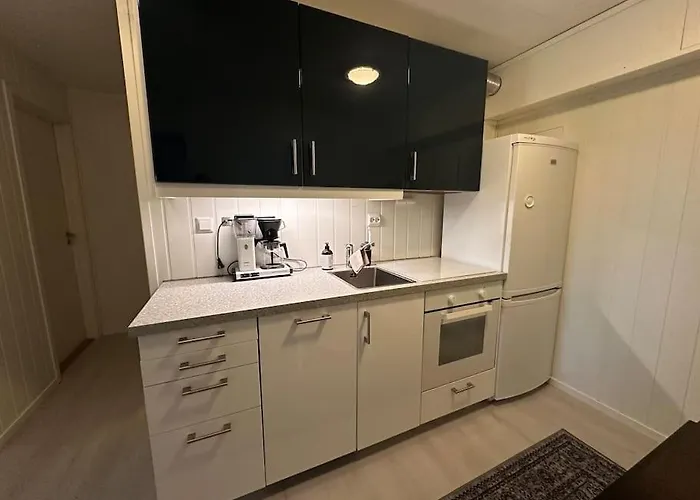 Studioleilighet Sentralt I Med Eget Soverom